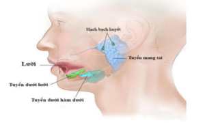 Bệnh quai bị có con không